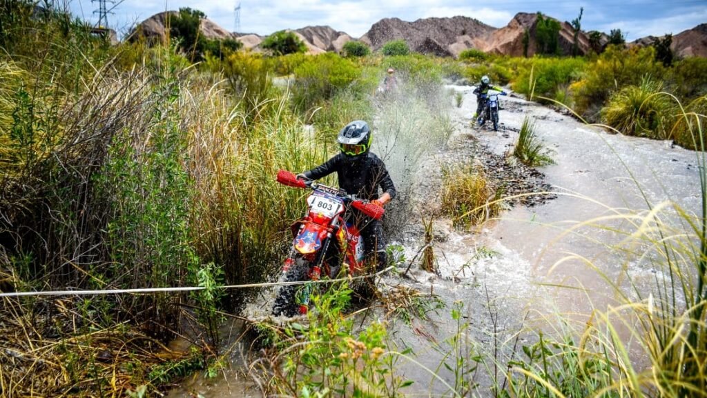 Imagen de WhatsApp 2025-11-11 a las 10.48.44_cf312fdb