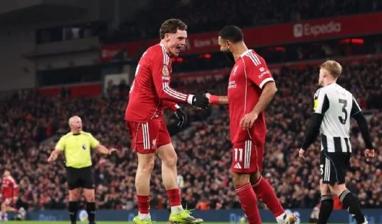 Captura de pantalla 2026-01-31 194510