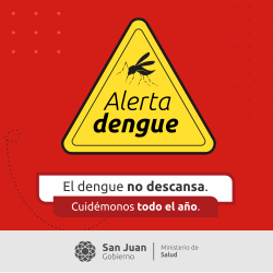 250X250 dengue 24