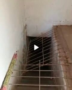 Screenshot_20260810_152128_WhatsApp