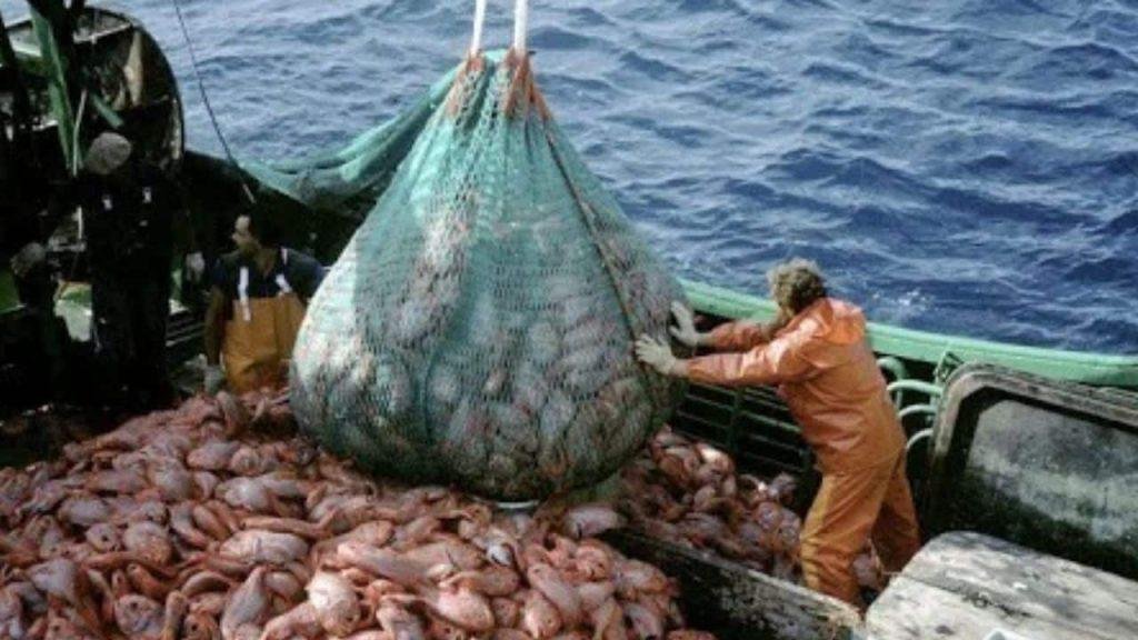 pesca-2-1-1024x576